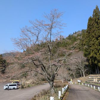 蕪山を後にして、高賀山に向いつつ、モネの池に寄ります…