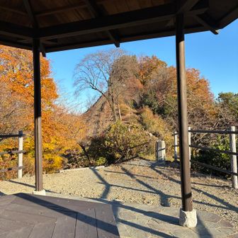 途中にきれいな東屋🛖