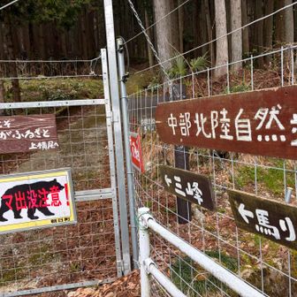 前回は逆から来たので
こちら側からのスタートは初めてです

駐車場のすぐそばに住んでる方が
この辺は熊よく出るぞーと教えてくれました…