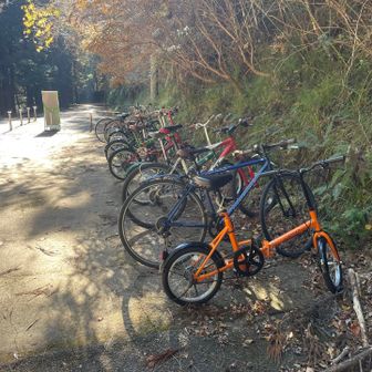 自転車の方が多いですね