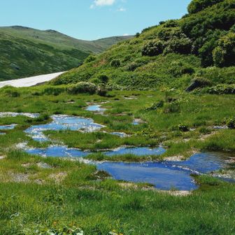 キャンプ指定地(水場)近く