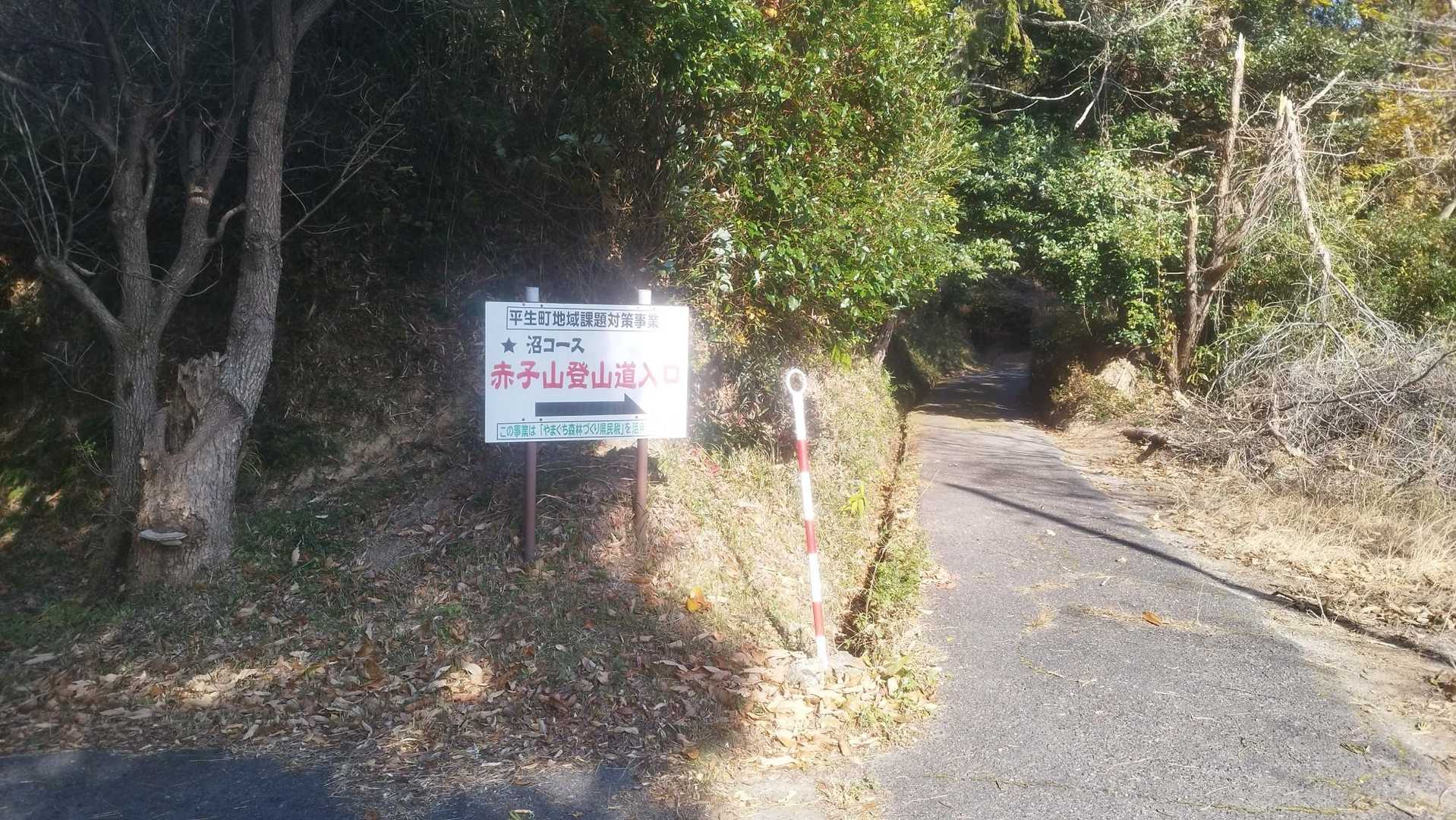 神社の横を上がっていくと登山道が始まります。