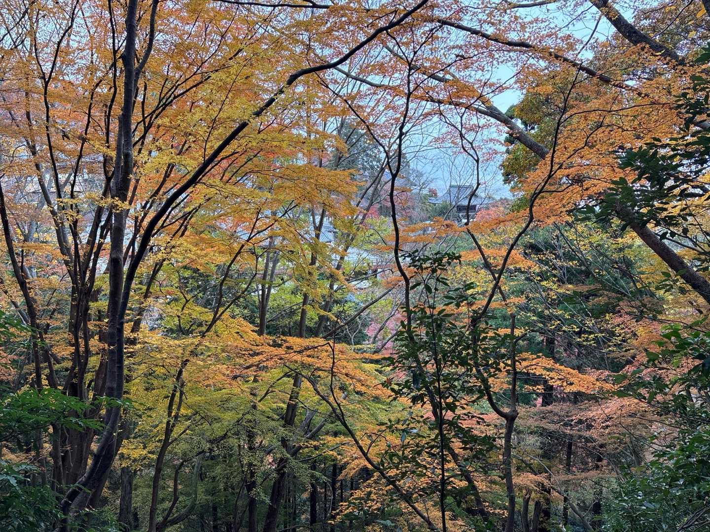 山門が見えてる
素敵💓