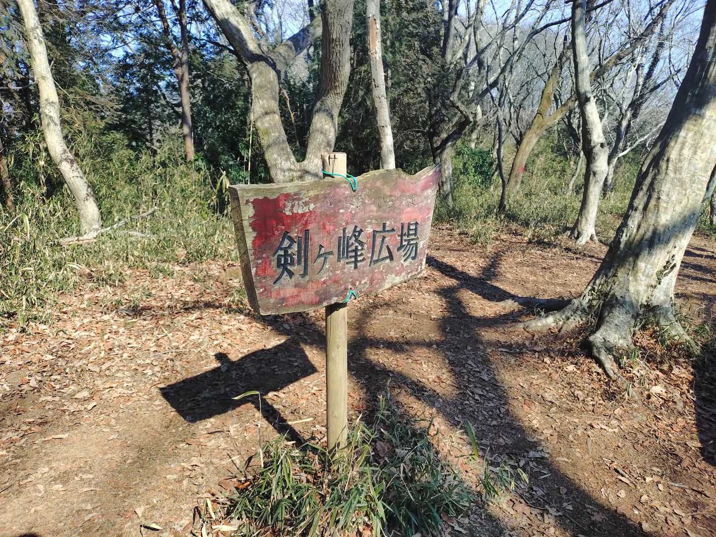 予想以上に急登でした😇