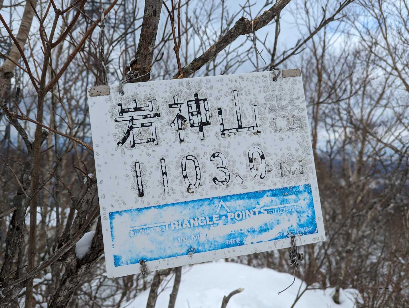 大きい方のプレート