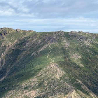 そんな鳥海山を観るなら稲倉岳の如く、早池峰山を観るなら薬師岳から眺めながら暫し休憩。