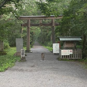戸隠神社奥社への参道。早朝のため誰もいません！