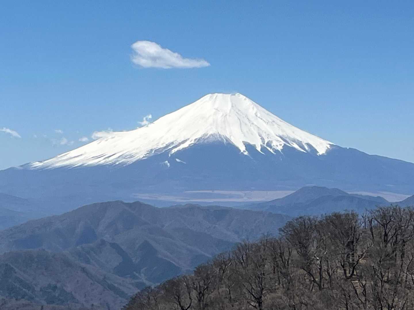 大室山 往復コースの写真