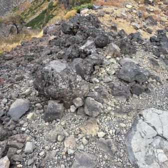 山名版とか何もなかったけど。
行者岳のピークあたりかな？？