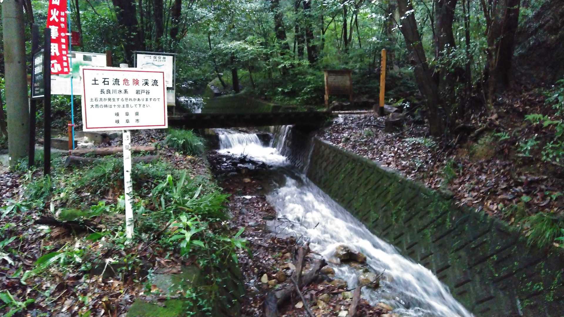 登山口の橋直下の水路が川になっています