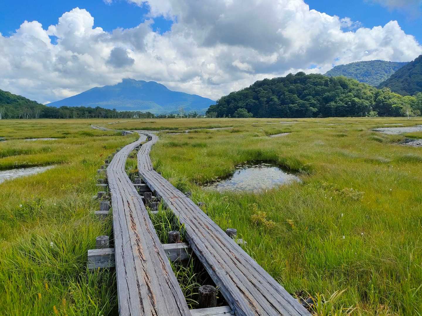 池塘も登場✨

何度来ても良い場所だ👌
