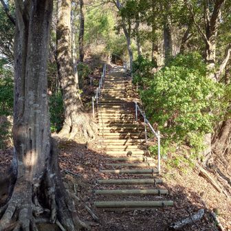 スリカンバノ頭山頂へのアプローチ
綺麗に整えられた階段です。