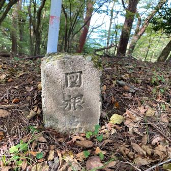 昭和の先輩に水準点を図根点という人いたな