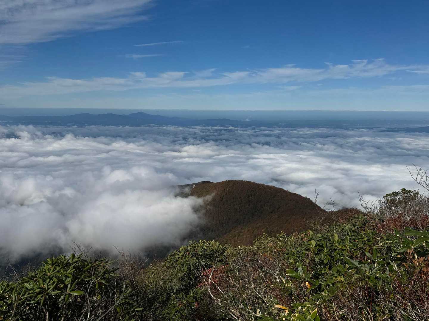 【周】八海山（2合目登山口）＜屏風道・八ッ峰・入道岳・新開道＞の写真