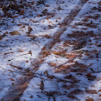 マウンテンバイクだろう。烏帽子岳まであがったんだろうか