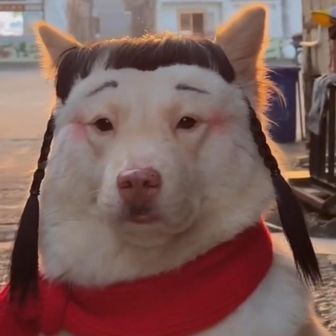 晴天カリフラワ―