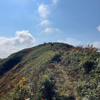 山頂へ