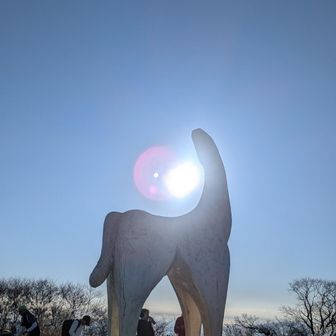 初日の出と白馬像