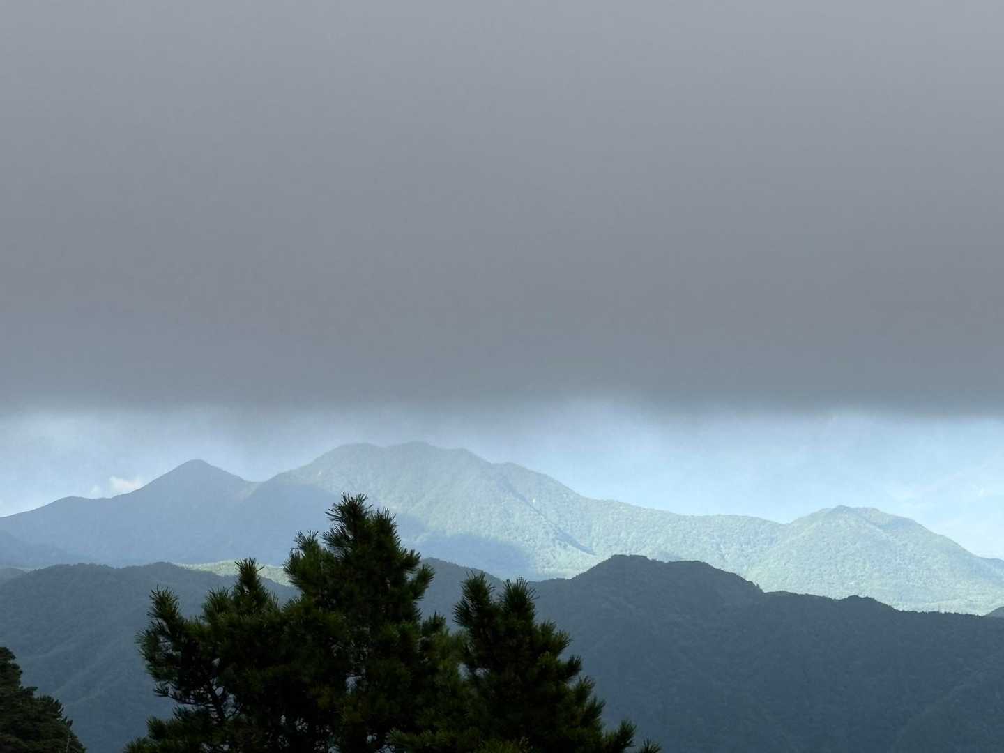 さて、どっちが勝つかな？