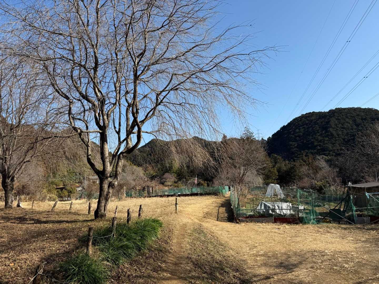 山上集落ユガテに到着！

「ユガテ」の地名の由来は、昔この地からお湯が出たことから→湯が出→ユガテとなったとのこと