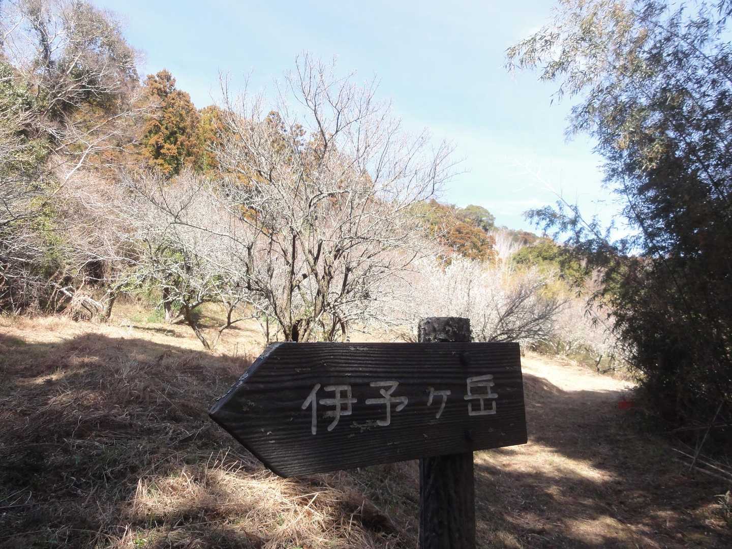 伊予ヶ岳-伊予ヶ岳-伊予ヶ岳登山口 縦走コースの写真