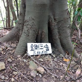 三ノ岳