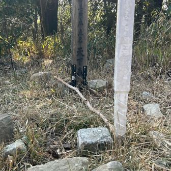 雲山峰山頂に三等三角点・天下森。