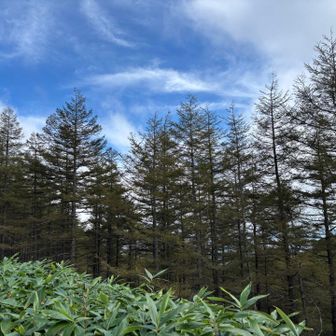 秋の空🍂