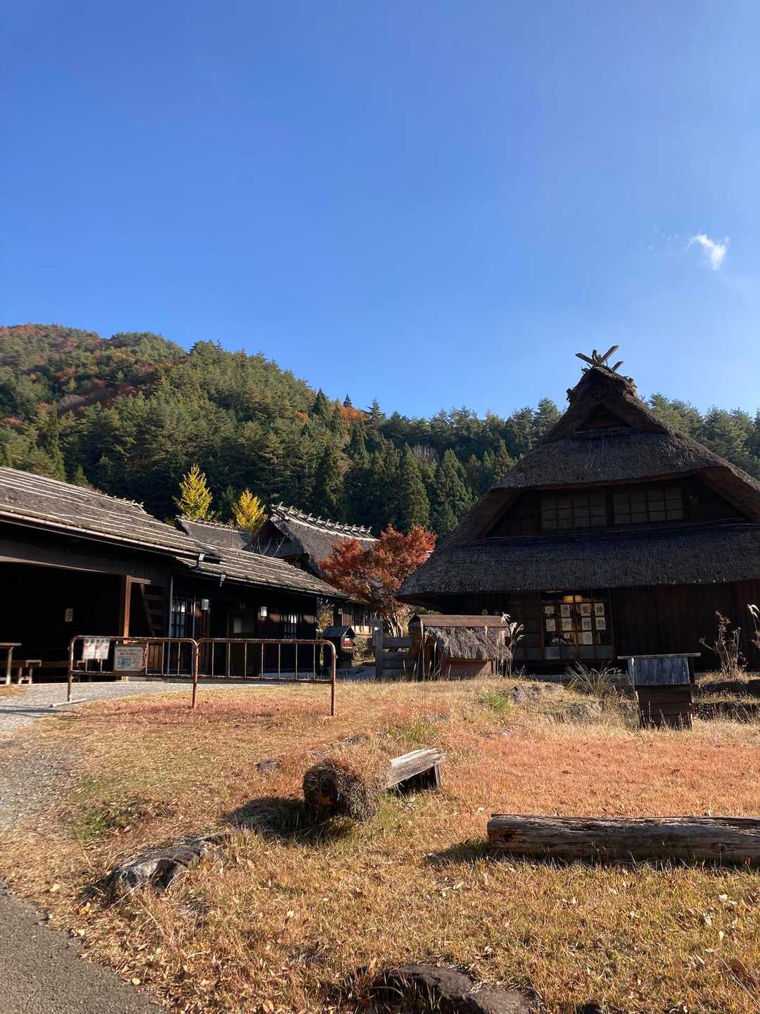 こんな茅葺の家があるんだー知らなかった
観光地なのねー