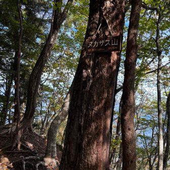 ヌカザス山　1,175m
登頂しました　🙌