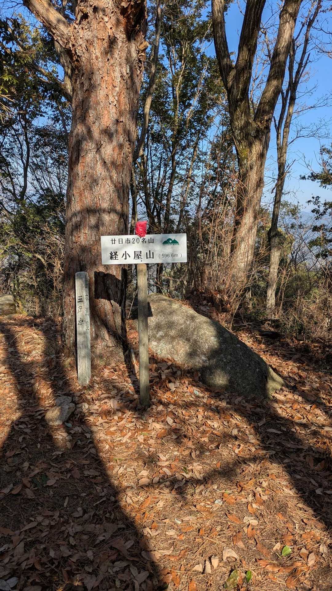 山頂に着。