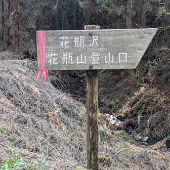 林道の分かれ道