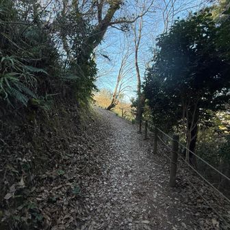 最初と最後だけ急だけど、ほぼほぼ緩やか。