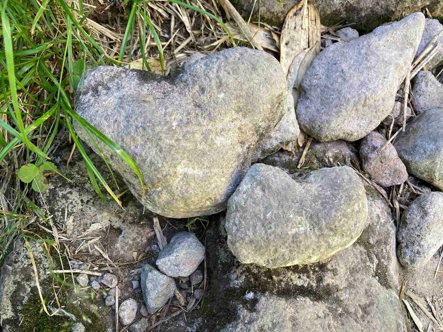 ハートの石をたくさん見つけた。
この写真、絶対送ってね‼︎と言われてすぐによっちゃんに送信。
帰りにもう一度見ようと言ったのに、見つけられなくなってしまった。