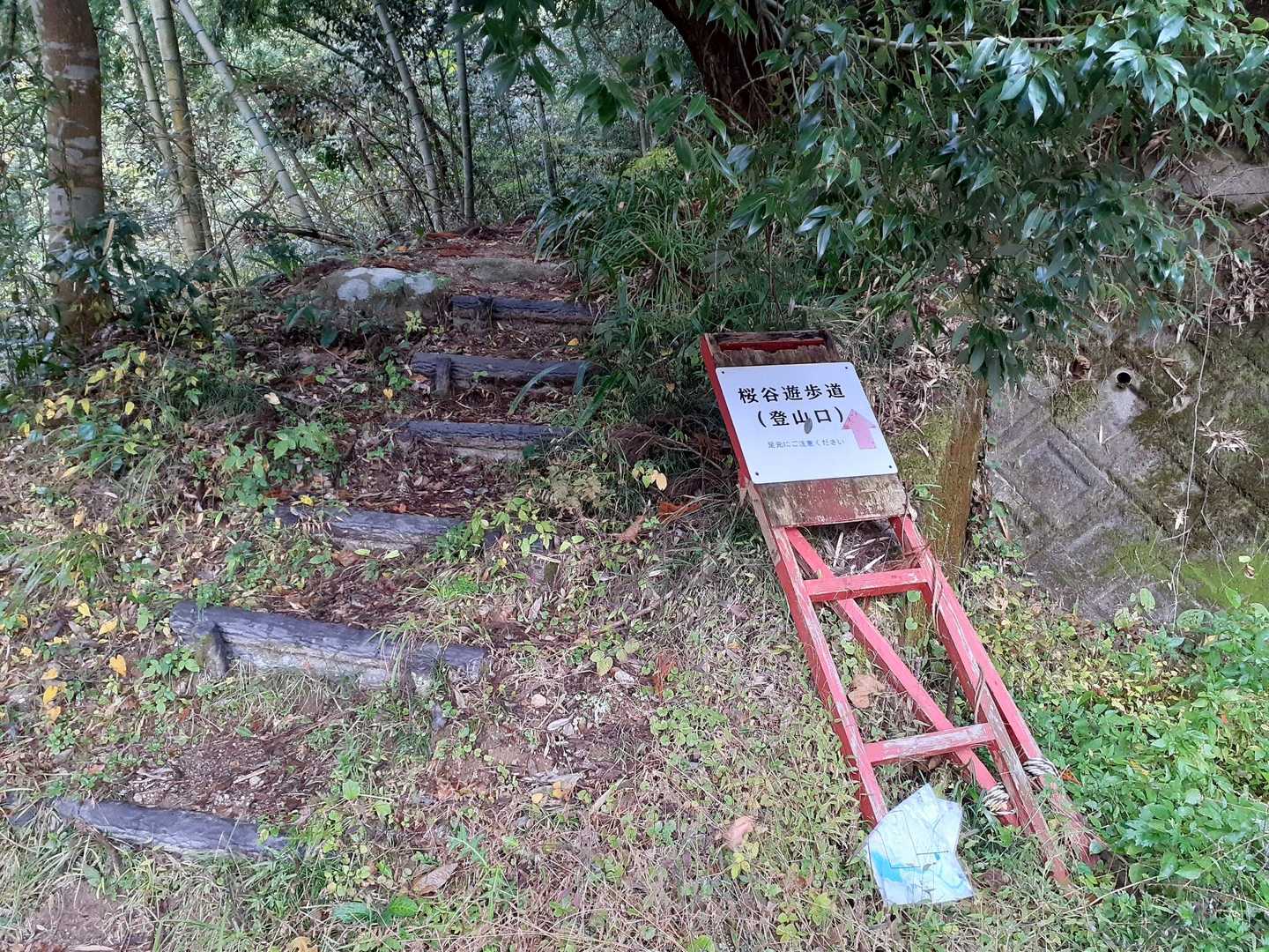 ここが入口🤔