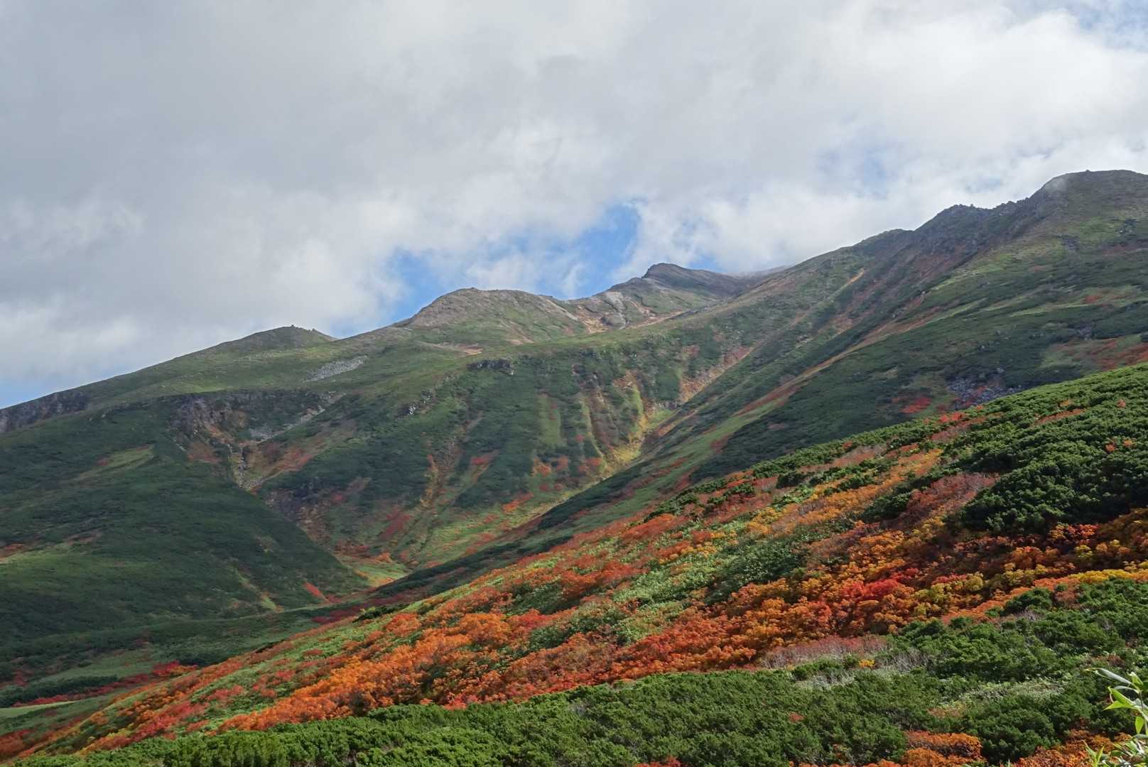 愛山渓登山口-沼ノ平-1591ピーク 往復コースの写真
