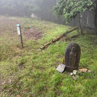下に降りるほど霧が濃い
