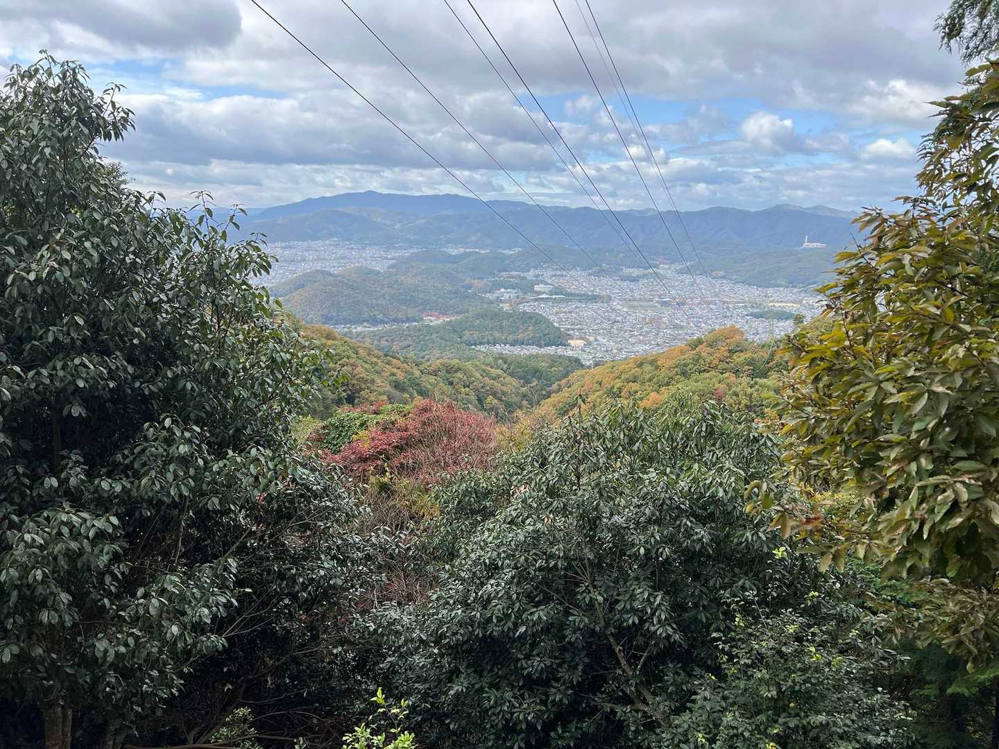 見える景色が変わってきました