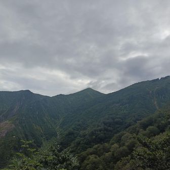 登るまではこの▲が巻機山だと思っていた🙄割引岳でした🤧