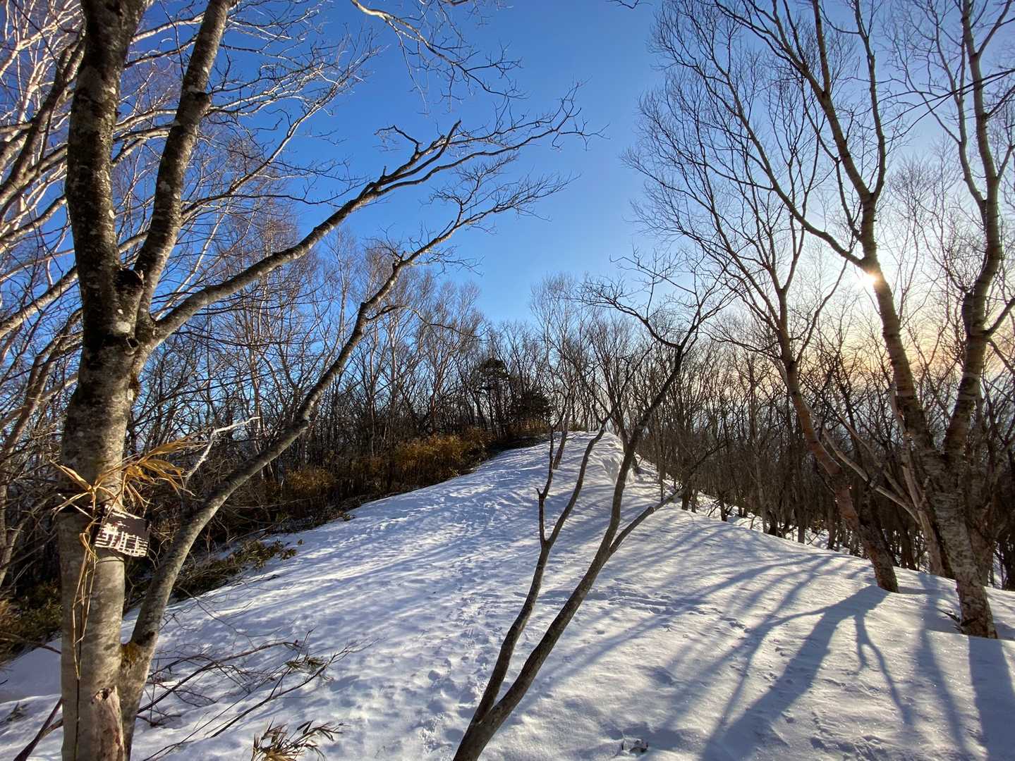 雪はしまって歩きやすい♪
サル山通過
