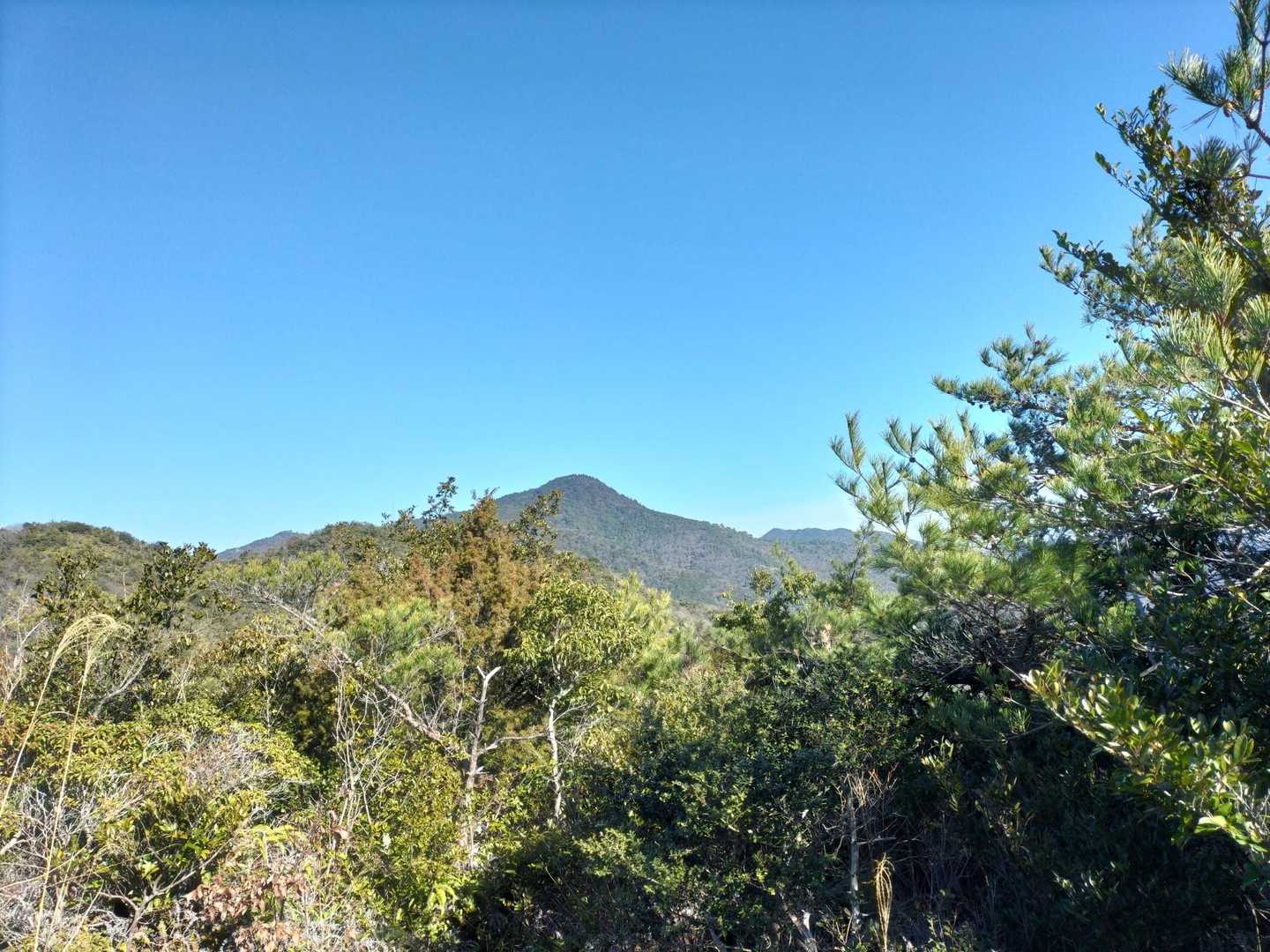 大麻山