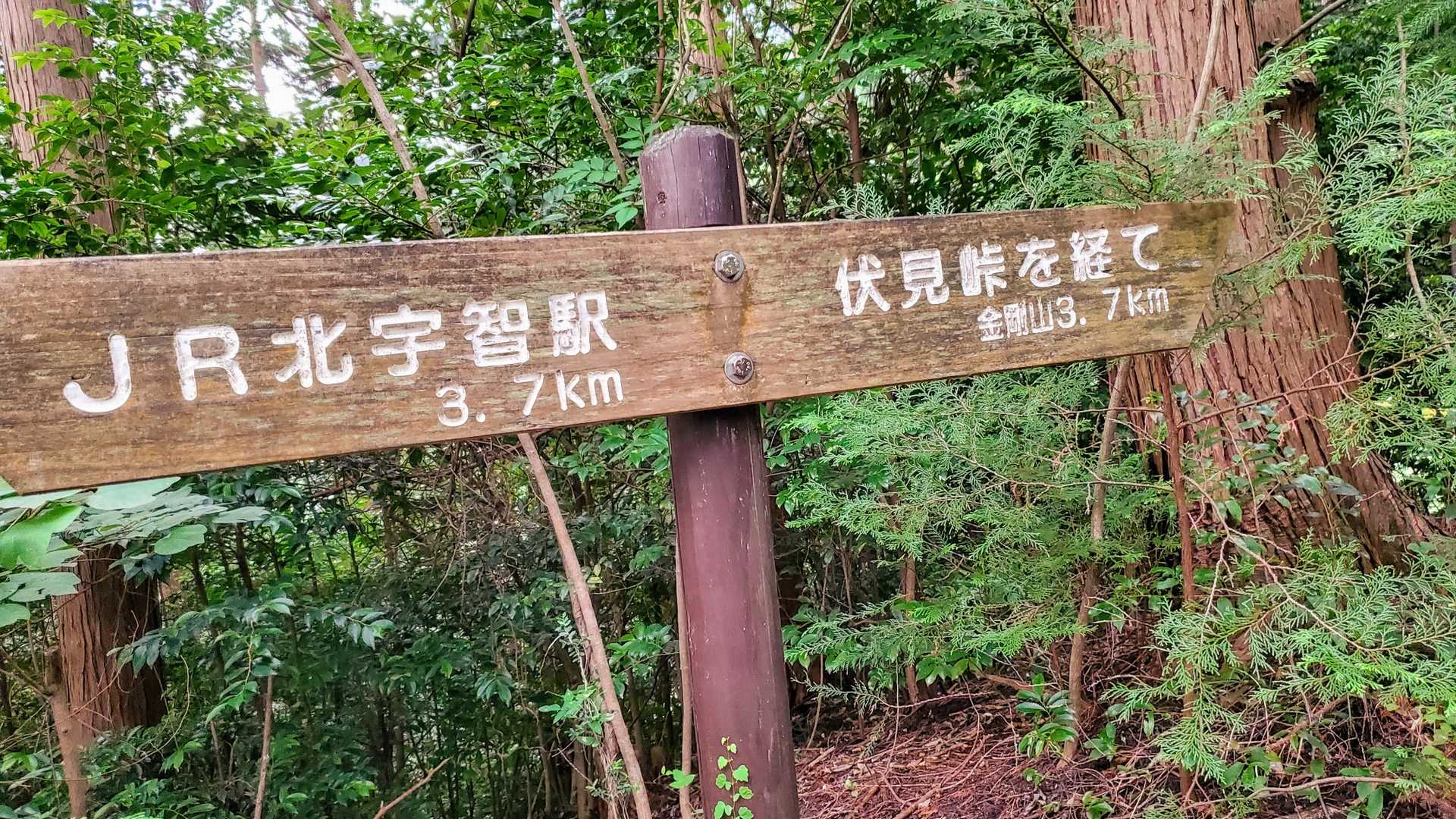 天ヶ滝新道登山口-伏見峠-金剛山葛木神社-金剛山 往復コースの写真