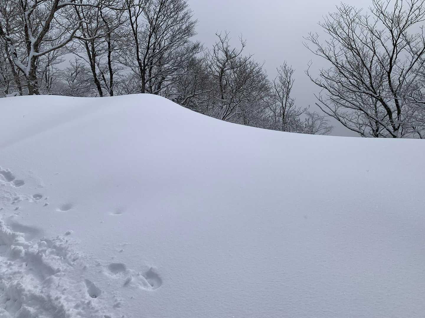 雪庇ですよねー