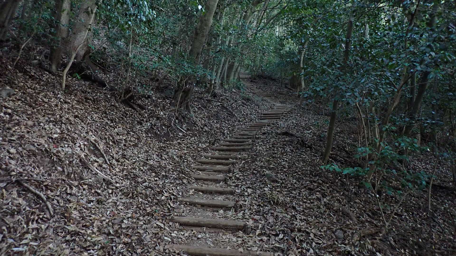 登山開始