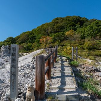 小高い丘につながる階段を登っていくと
突き当りの森の中には不動明王が
祀られていて、