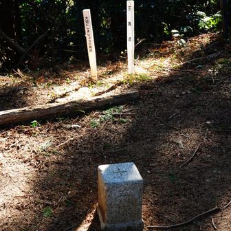 山頂標から更に奥へ行くと三角点がある