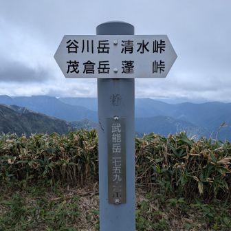 武能岳