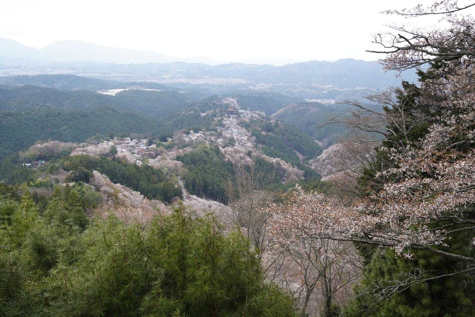 吉水神社-吉野水分神社-金峯神社-青根ヶ峰 縦走コースの写真