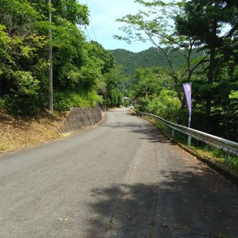 舗装路に出た