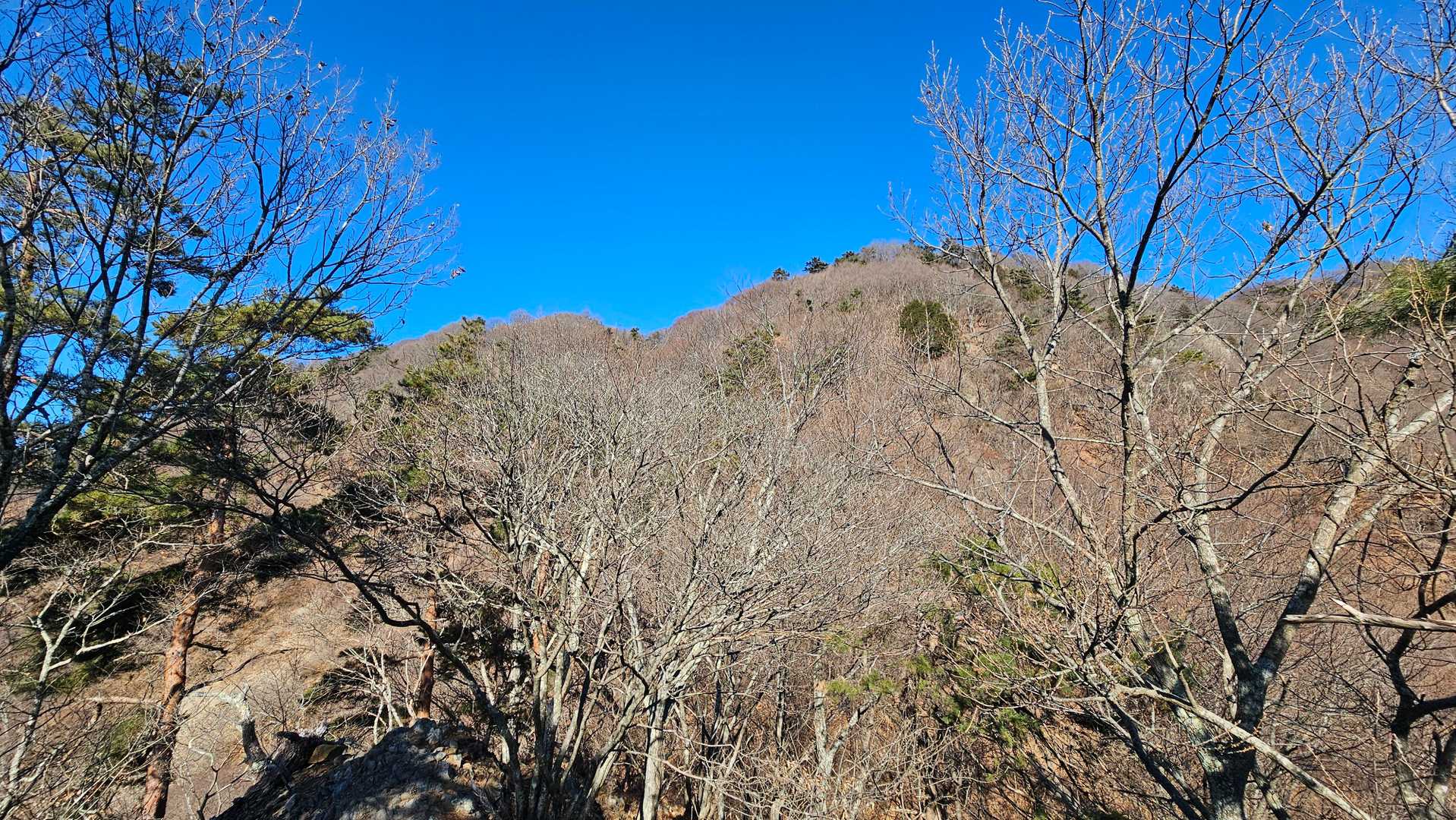 振り返って
あれが虚空蔵山？